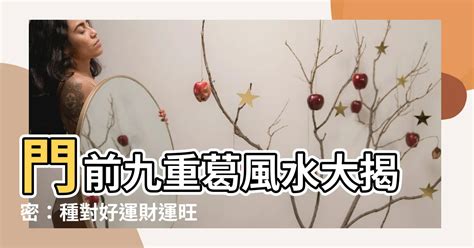 門前種九重葛風水|門前種九重葛風水秘訣：招財納福、旺運氣 